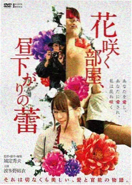 变形金刚5